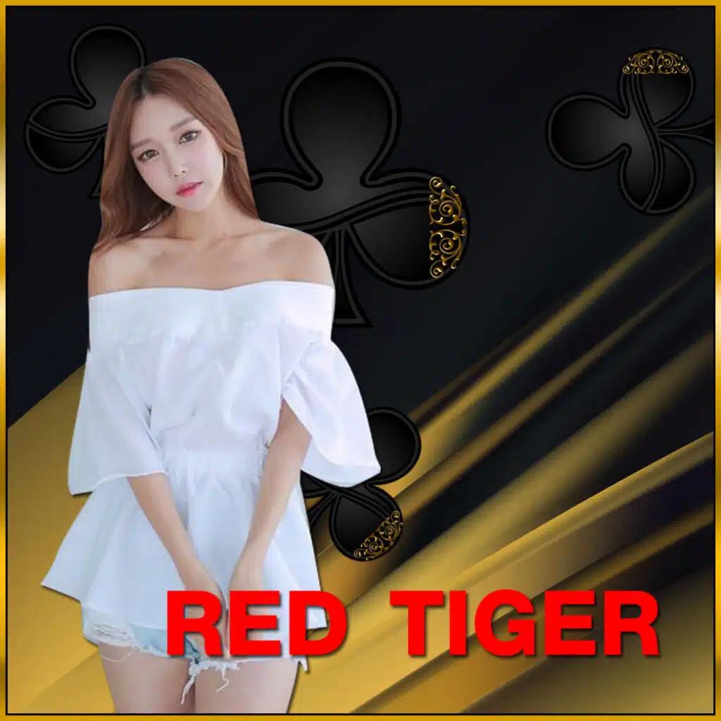 บ้านลบอล เดิมพันง่าย ระบบทันสมัย ฝาก-ถอนอัตโนมัติ 24 ชม