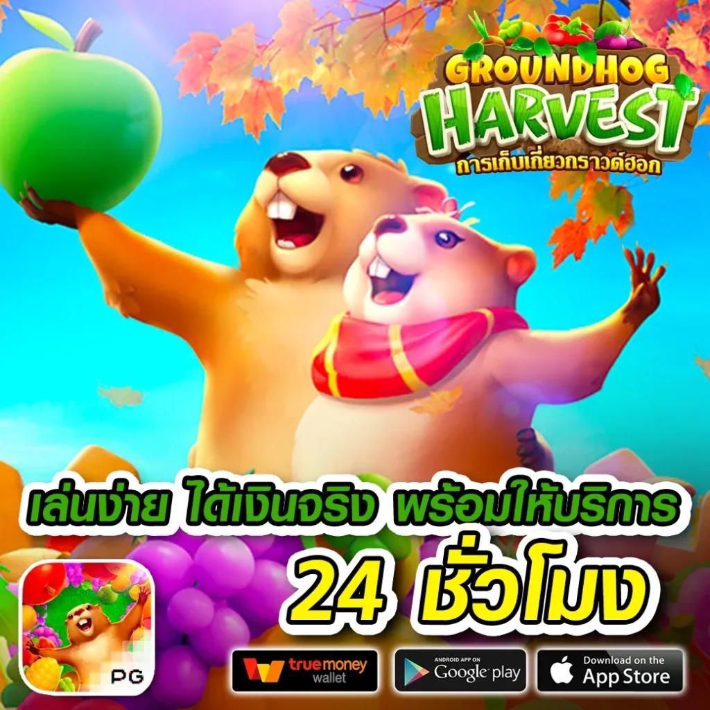 ผลบอลสดไทย T Score อัปเดตรายงานสดก่อนใคร รับชมเต็มอิ่มทุกแมตช์